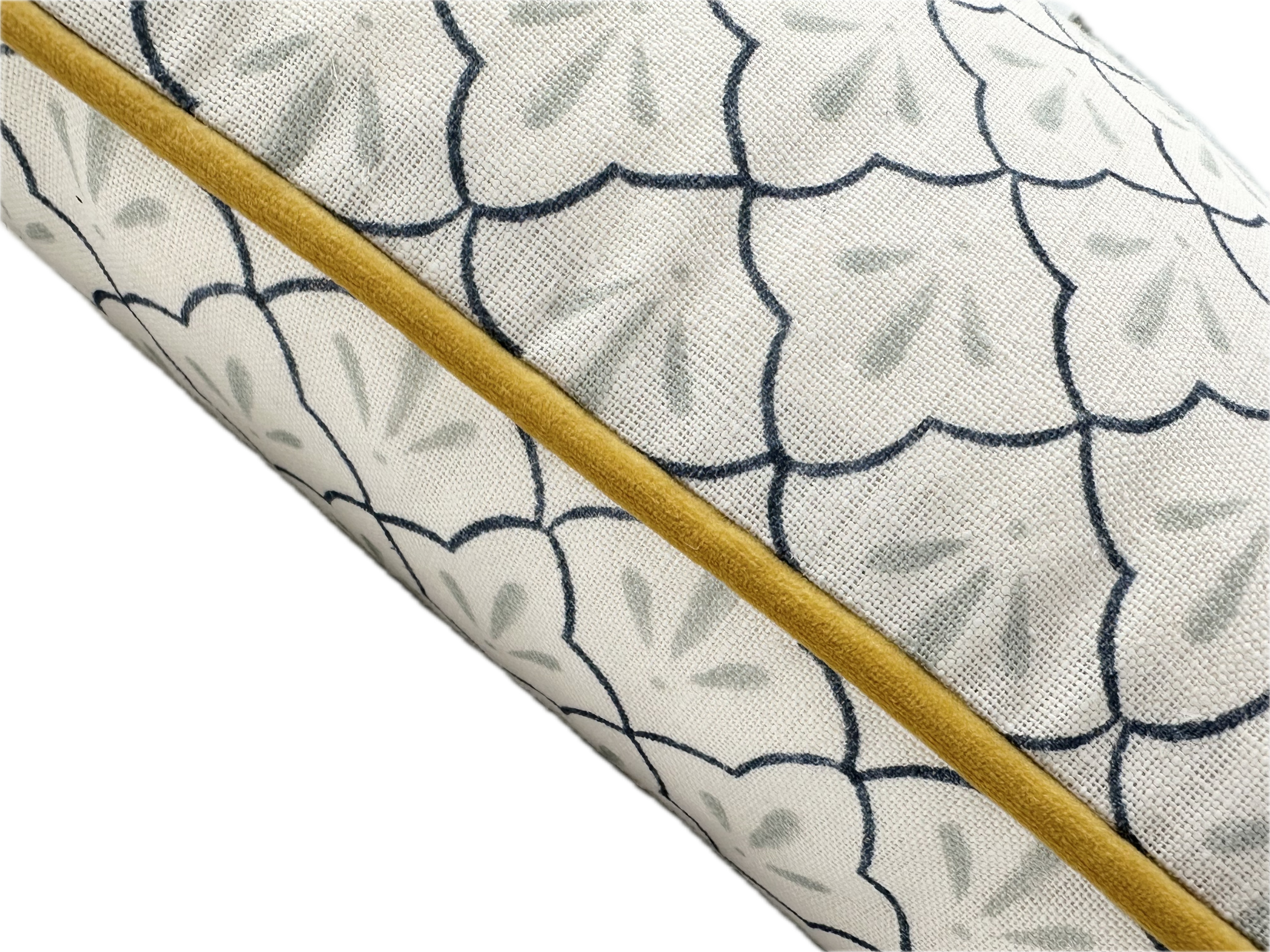 Haveli and Ochre Piped Cushion